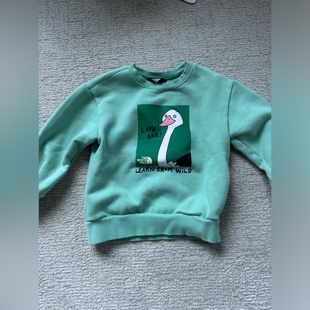 The North Face Green Graphic Sweatshirt